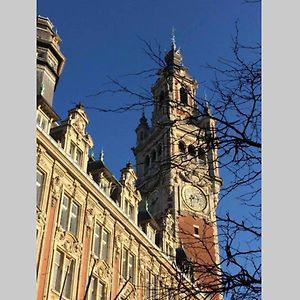 Appartement Grande Chaussee Lille